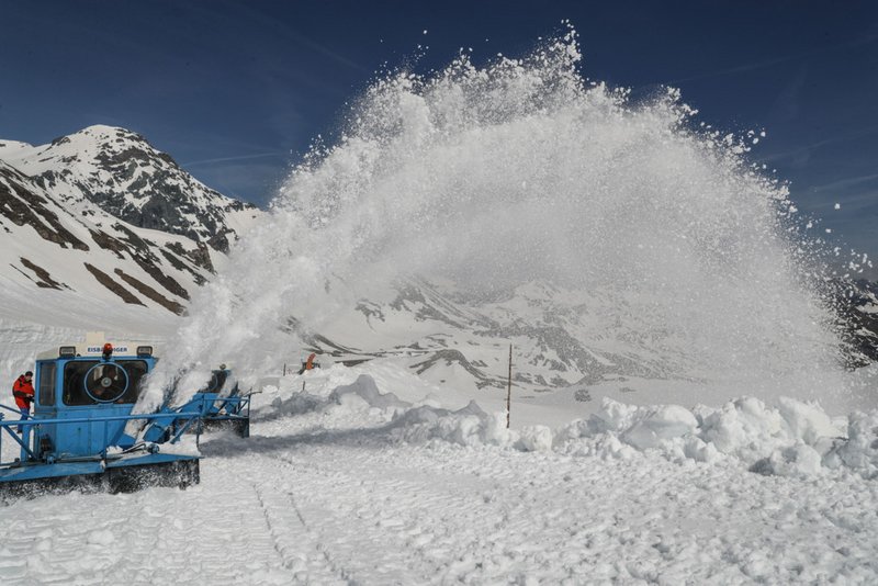 Oskar frisst sich durch den Schnee