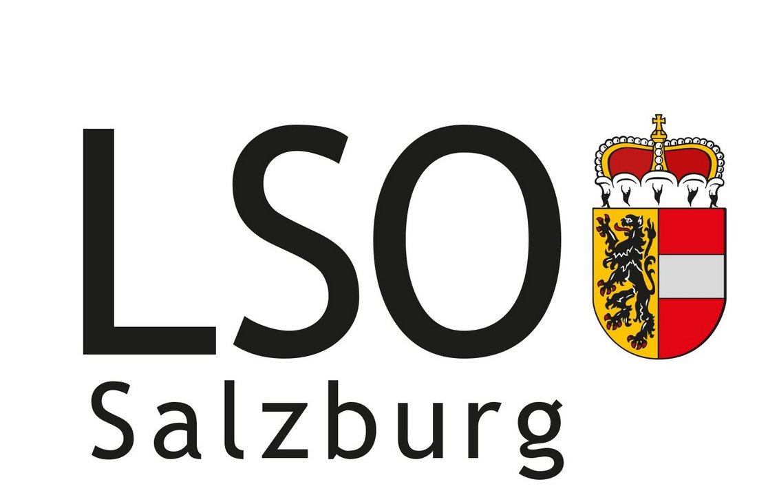 Logo LSO Salzburg