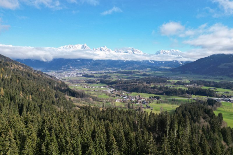 Hälfte des Waldes ist Schutzwald