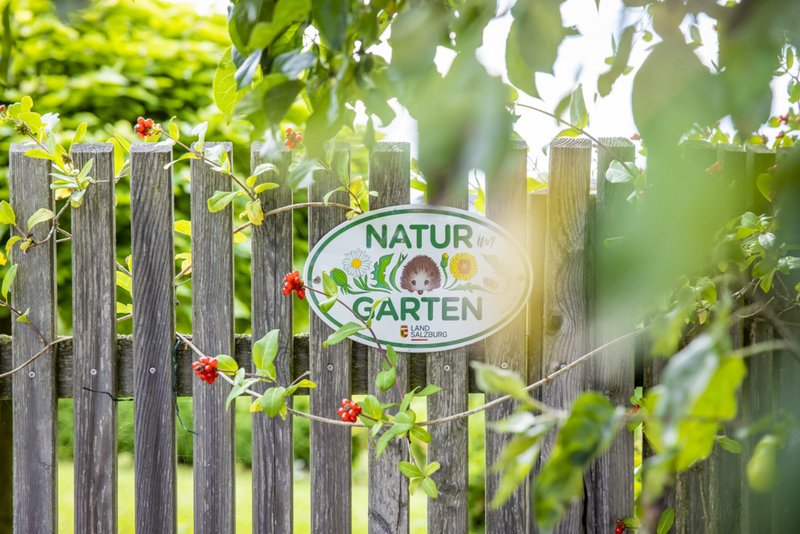 Startschuss für die Gartensaison