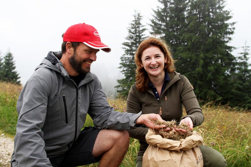 Blumen, Gräser und Kräuter – Made in Salzburg