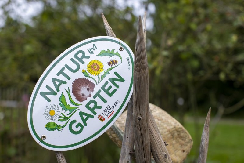 Der Frühling weckt die „Natur im Garten“-Lust