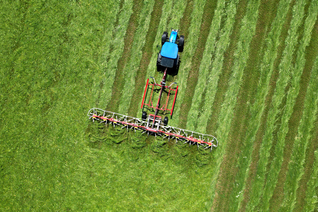 Traktor beim mähen