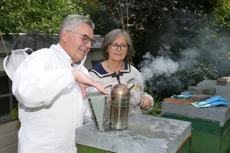 Auch Bienen fliegen auf die Stadt Salzburg