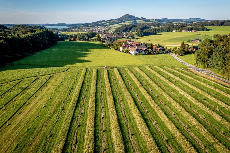 Ein Paket für Grund und Boden
