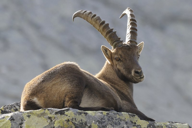 Naturgewaltig und gipfelreich