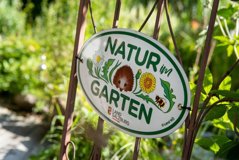 Natur pur in Pinzgauer Gärten