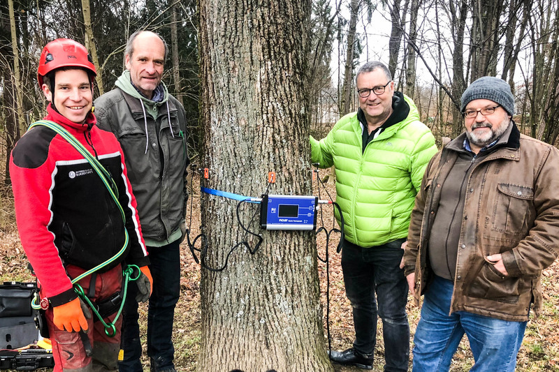 Mit den Baumärzten im Wald